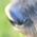 image_439.jpg